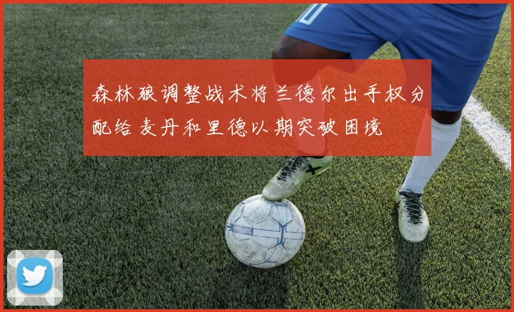 森林狼调整战术将兰德尔出手权分配给麦丹和里德以期突破困境