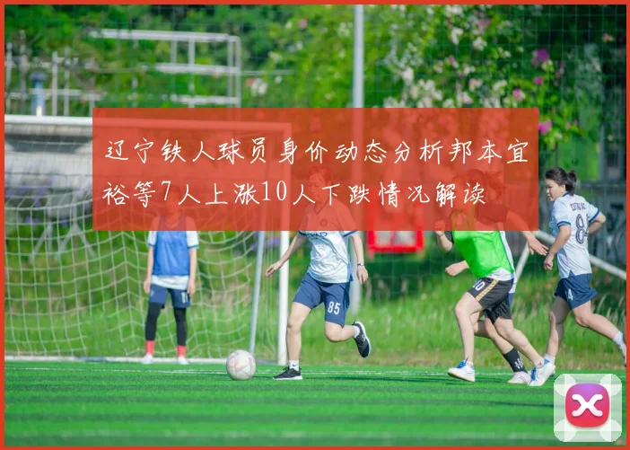 辽宁铁人球员身价动态分析邦本宜裕等7人上涨10人下跌情况解读